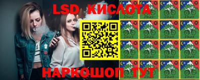 МДПВ Кингисепп