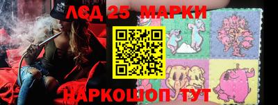 МДПВ Кингисепп