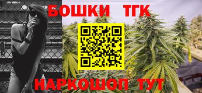 МДПВ Кингисепп