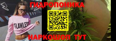 МДПВ Кингисепп