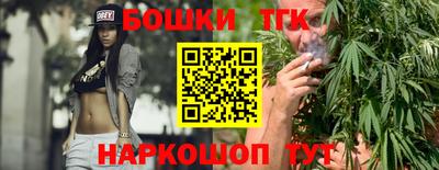 МДПВ Кингисепп