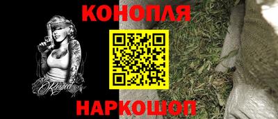 МДПВ Кингисепп