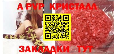 МДПВ Кингисепп