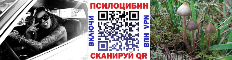 купить наркотики сайты  Находка  Галлюциногенные грибы GOLDEN TEACHER 